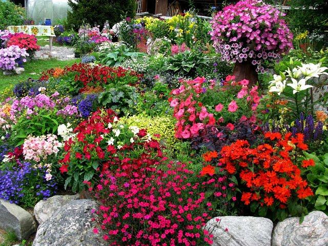 The Arctic Circle. The music of wind. Flowers. Very beautiful music.