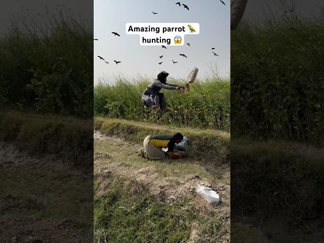 Amazing parrot  hunting  #birds #birdhunting #hunting #shorts #viralshorts #youtubeshorts