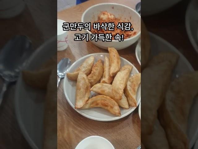 수원화성 맛집 추천! 보영만두 Suwon Hwaseong Food Spot Recommendation! 100% Worth the Wait – Boyoung Mandu