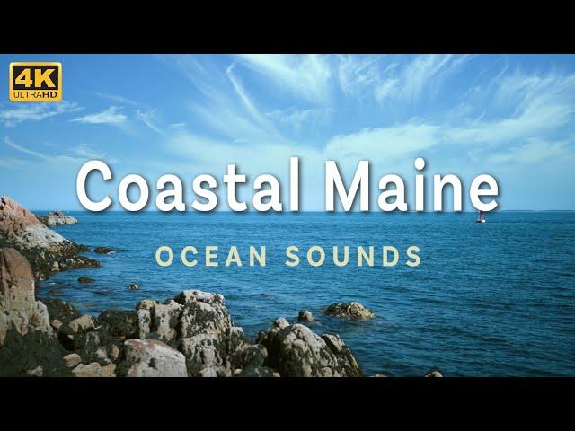 2 Hours of Ocean Sounds from Coastal Maine in 4K