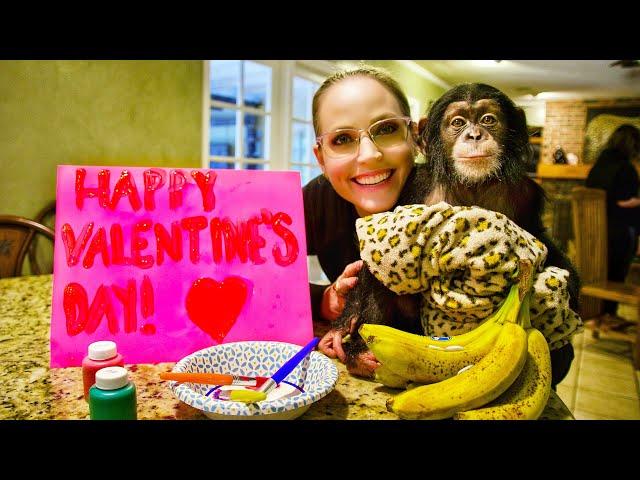 Valentines Day Baby Chimp