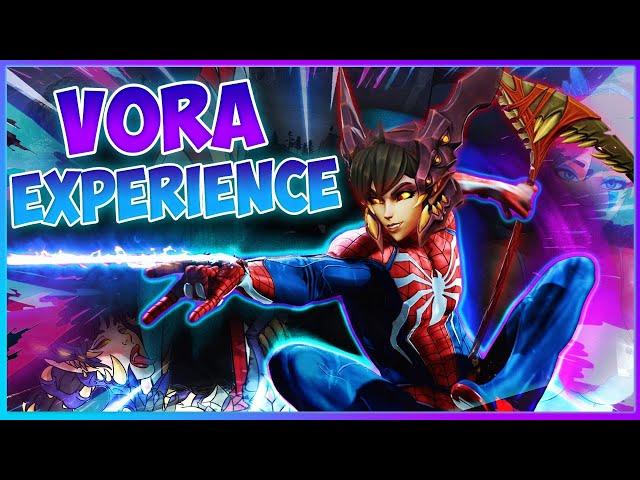 THE VORA EXPERIENCE | PALADINS