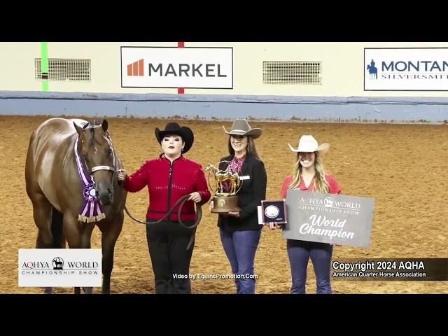 2024 AQHYA world champion 2-year-old mares