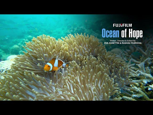 Fujifilm X-S20: Ocean of Hope