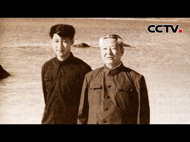 时政微视频 父亲的叮咛 | CCTV