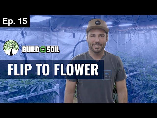 BuildASoil: FLIP TO FLOWER, ENVIRONMENT TALK, & FLIP MALES TO FLOWER (Season 4, Episode 15)