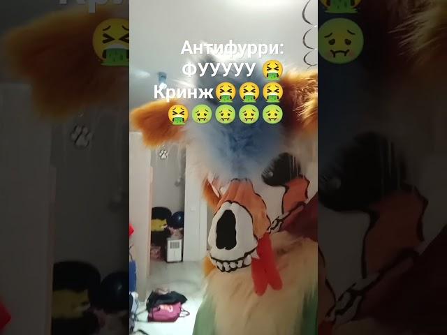 #игры #видео #fursuit #фурри #фурсьют #фурсьютер