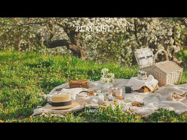 𝐏𝐥𝐚𝐲𝐥𝐢𝐬𝐭 한강에서 봄 피크닉 감성 팝송 플리 | Spring pop | Chill vibes music