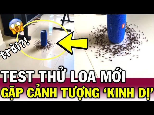 Thấy hàng trăm con kiến đi VÒNG TRÒN đến C.HẾT, thanh niên SỢ HÃI điềm KHÔNG MAY | Tin Việt Độc Lạ