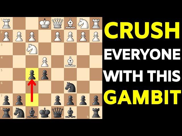 Rousseau Gambit Opening TRAPS | Insane Chess Tricks to WIN Fast