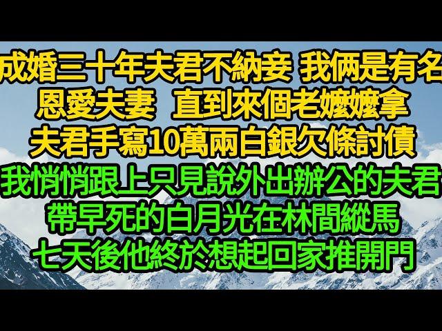 成婚三十年夫君不納妾 是有名恩愛夫妻，直到來個老嬤嬤拿著夫君手寫10萬兩白銀欠條討債，我悄悄跟上只見說外出辦公的夫君 帶早死的白月光在林間縱馬，可這汴京城 清流世家哪有和離之說，就只能喪夫這條路