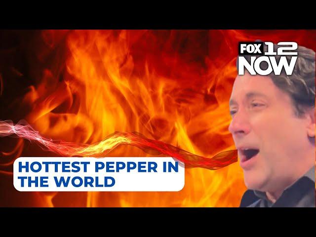 Trying Pepper X – the hottest pepper in the world – with Smokin’ Ed Currie