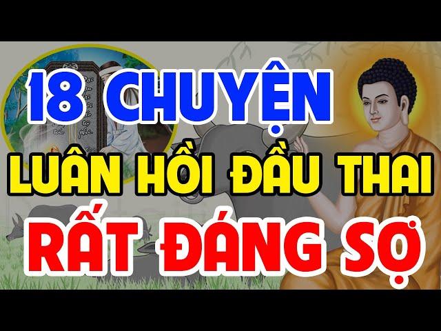 18 Chuyện Nhân Quả Phật Giáo Hay Nhất, Về Luân Hồi Chuyển Kiếp Đầu Thai Làm SÚC SANH Rất KHỔ SỞ ...