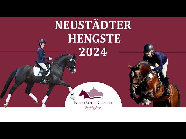 Neustädter Hengste 2024