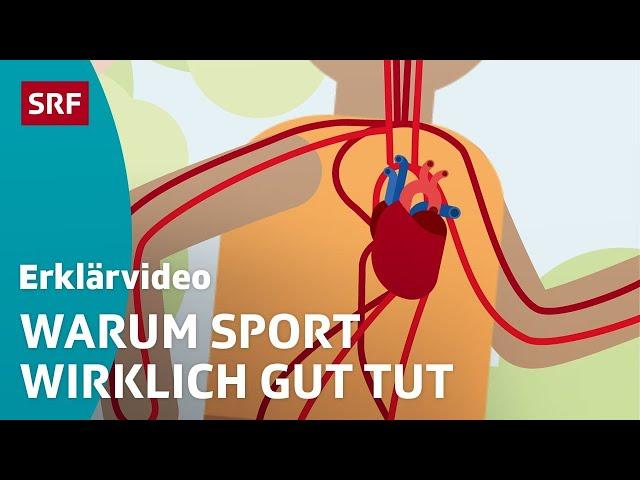 Was macht Bewegung mit dem Körper? – einfach erklärt | Kindervideos | SRF Kids