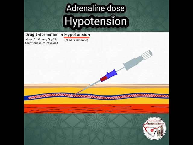 ADRENALINE (Epinephrine) DOSE in HYPOTENSION #pediatrics #medicine #epinephrine