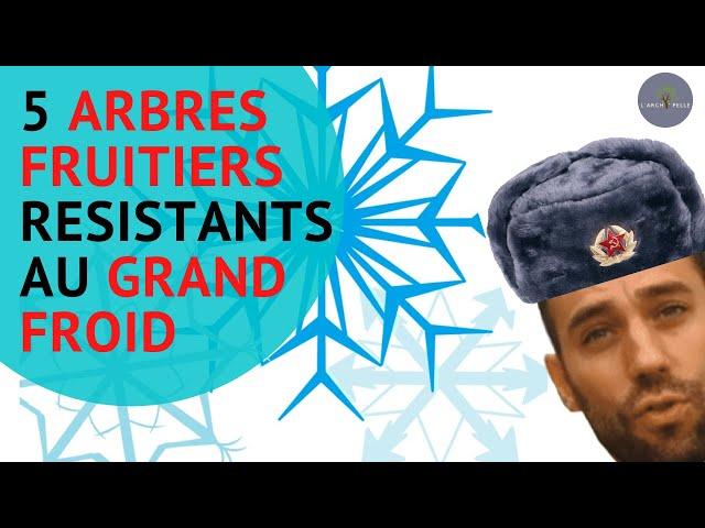 5 Arbres FRUITIERS résistants au grand FROID !