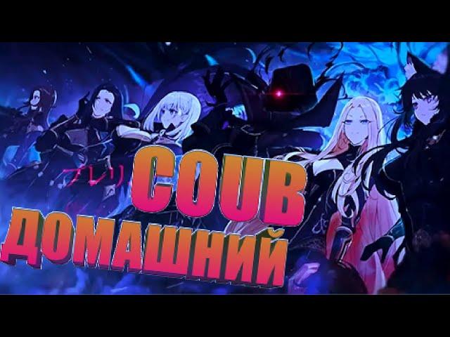 Домашний COUB #81