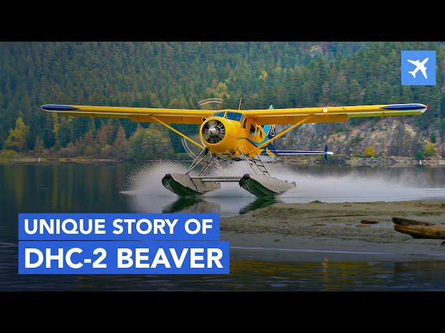 How DHC-2 Beaver Saved Alaska?