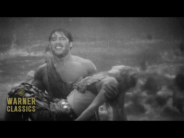 Noah's Ark | Full 1928 Feature Film | Warner Classics