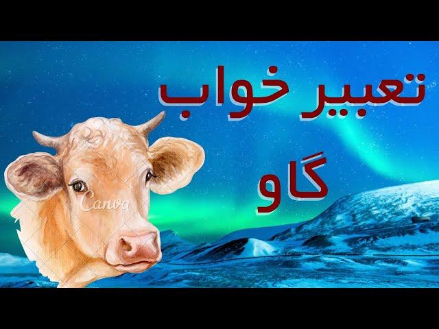 تعبیر خواب گاو / تعبیر خواب گاو وحشی ، گاو نر و ماده ، ، رنگهای گاو ، دوشیدن گاو ، ، گوشت گاو ، شیر