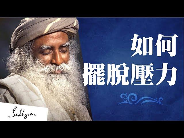 如何擺脫壓力，選擇自己想要的人生 ｜Sadhguru（薩古魯）