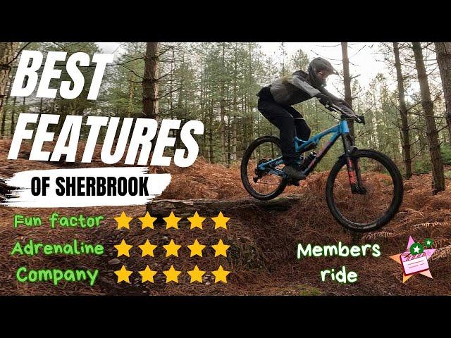 The Best Drops and Jumps of Cannock Chase off piste trails