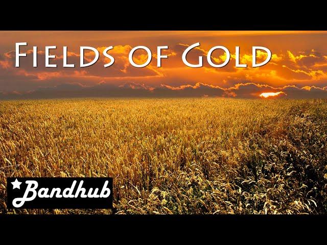 Fields of Gold - Bandhub cover with b33zo, chobanov, Bud Stearn, Pelletmobile, Rafamerol + Luisband