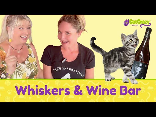 Awesome Visit at Whiskers And Wine Bar in San Diego