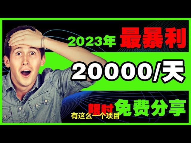 【2023年最新网赚方法】2023副业 2023赚钱技巧 超靠谱 赚钱项目 挣钱项目 被动收入 网上创业 被动收入 零门槛 躺赚项目  睡后收入 youtube网络赚钱 网赚方法2023