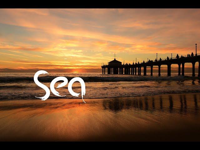 Portrayal | Sea