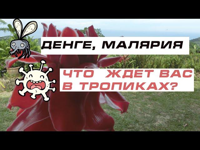ДЕНГЕ,  МАЛЯРИЯ - что   ждет вас в ТРОПИКАХ