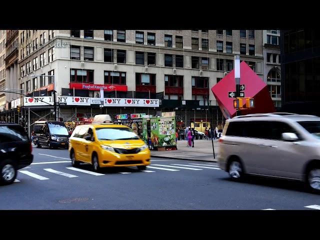 new york |  Markhor Rider