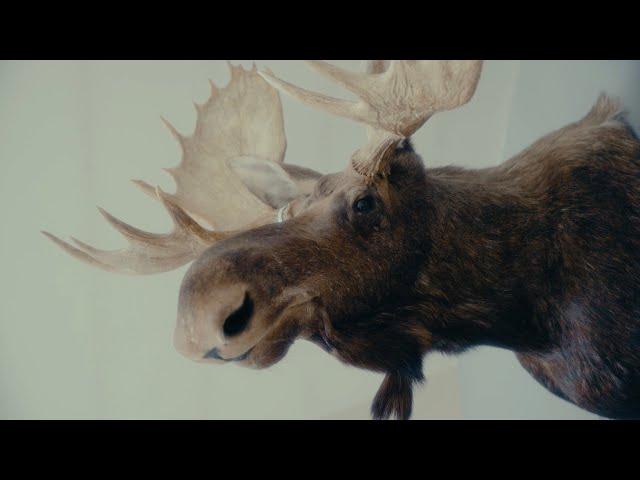 Chris Webby - Moose Head (Official Video)