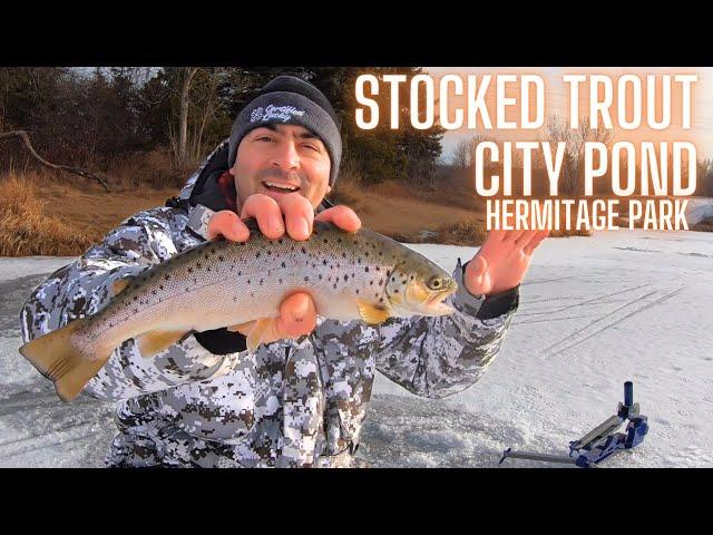 Hermitage Lake Ice Fishing Rainbow Trout and Brown Trout Edmonton