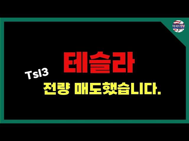 테슬라 대장주 움직임, Why 더오르나?  (미국주식 전망) #테슬라 #soxl