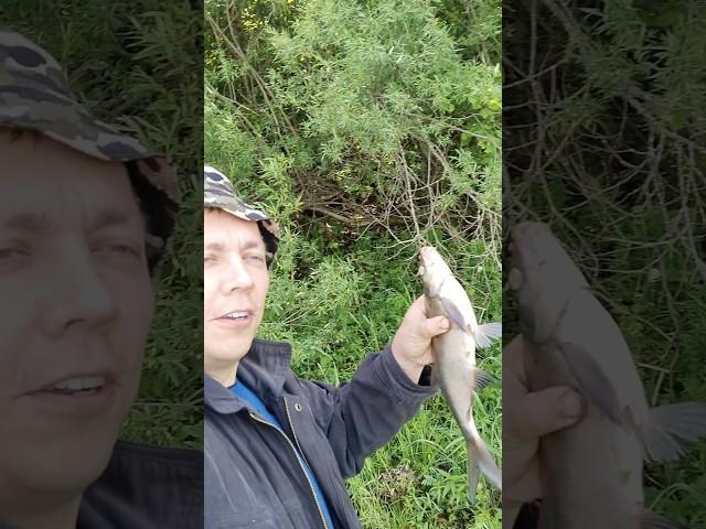 всё-таки клёв есть. не смотреть