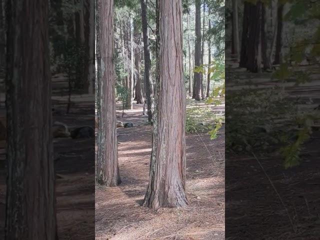 Wow! See an empty RV Campground 2024? Find places to camp in Seasons! @somedayistodayrv  #rvtravel
