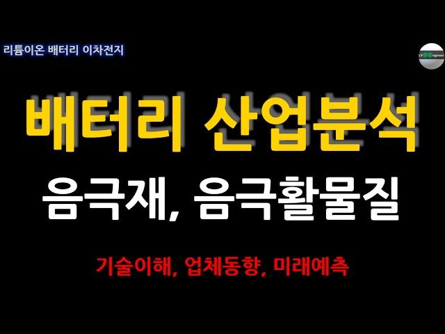 이차전지 음극재, 음극활물질 산업분석
