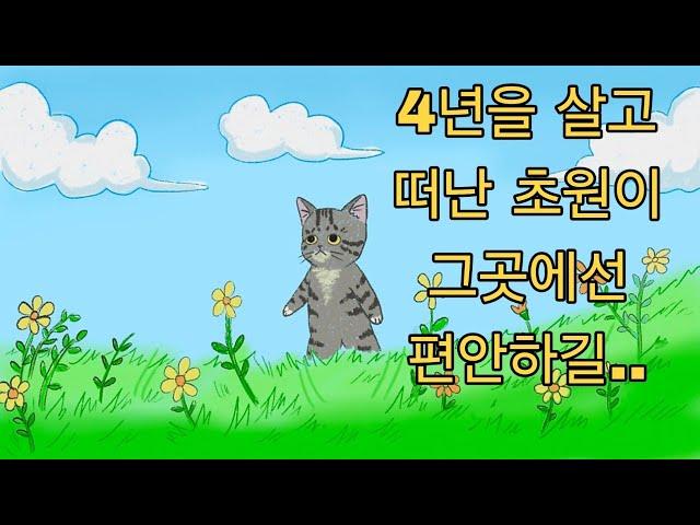 4년을 살고 또 다른곳으로 떠난 초원이