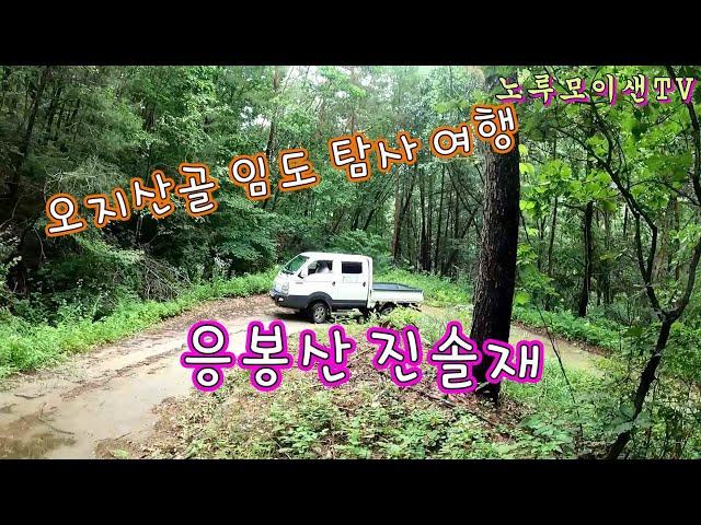 오지산골 임도 탐사 여행// 응봉산 진솔재 //노지 차박캠핑!!