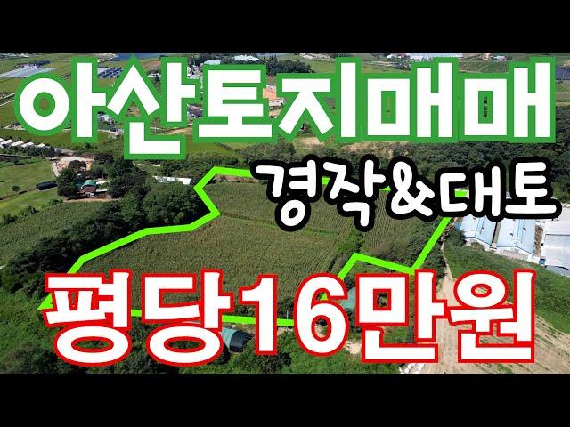 [매물174]아산토지매매 / 경작&대토&농축산용창고시설 / 4735평 / 평당 16만원