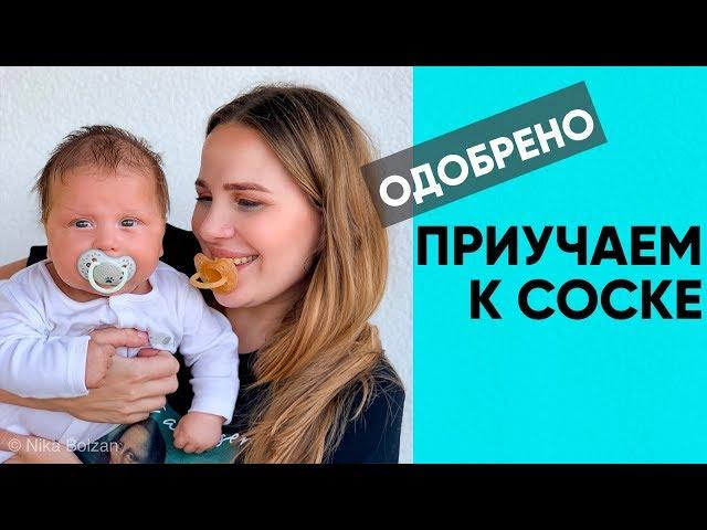 КАК БЫСТРО ПРИУЧИТЬ К СОСКЕ? Способ, который поможет на 100%. Ника Болзан