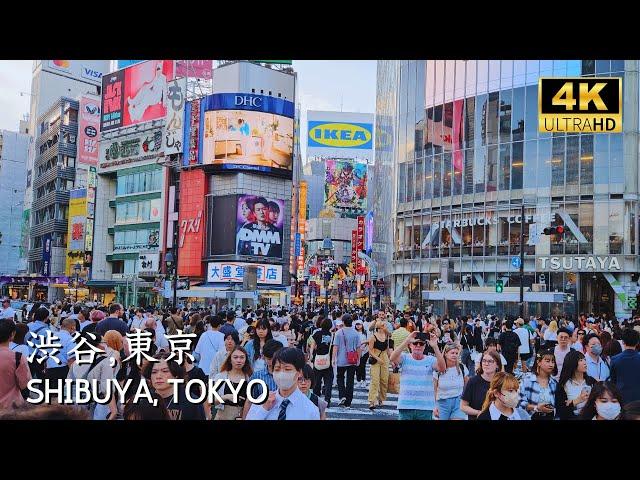 [ SHIBUYA ] 30 minutes walk at the most crowded place in Tokyo, Japan #shibuya #渋谷