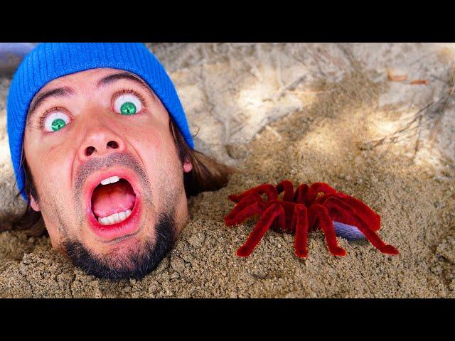 Buried in Sand and there's a GIANT CREEPY SPIDER