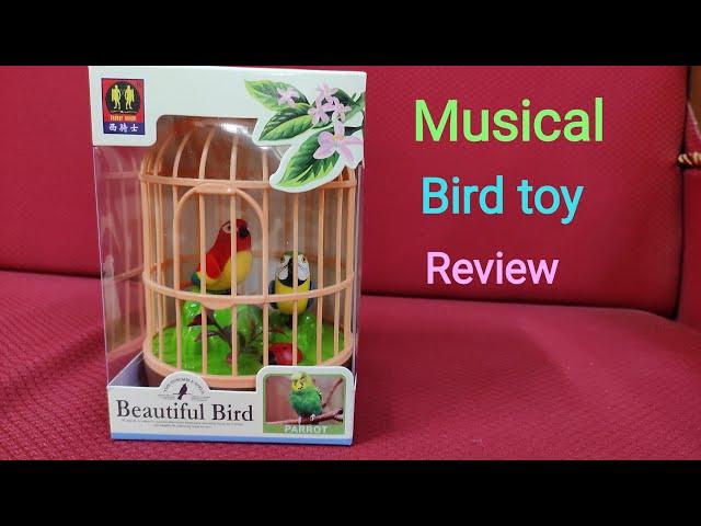 musical bird toy review