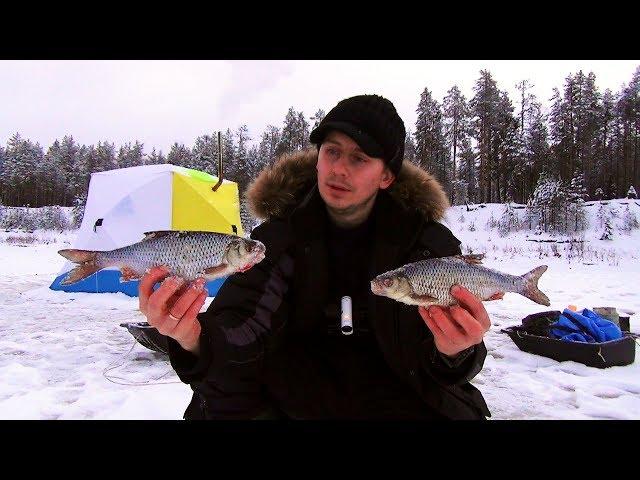 ПЛОТВА ГИГАНТ! / ОДНИ НА ЛЬДУ / РЫБАЛКА С НОЧЕВКОЙ ЗИМОЙ / Часть 1 Наедине с тайгой