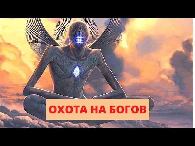 НЕВЕРОЯТНОЕ ОТКРЫТИЕ УЧЕНЫХ ПОВЕРГЛО В ШОК! Охота на богов