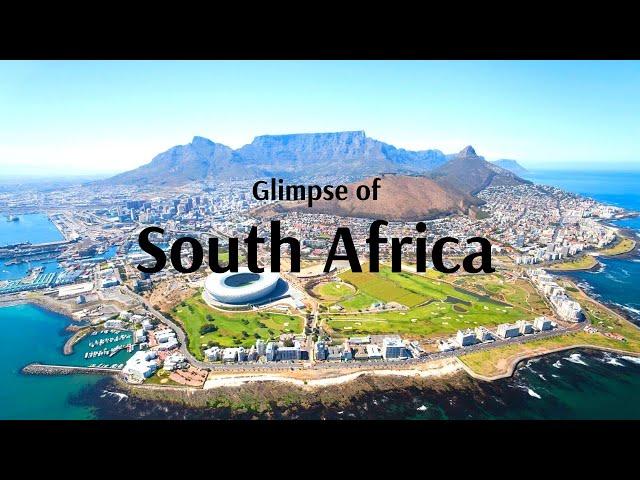 Glimpse of Flamingo's South Africa Tour - Flamingo Travels