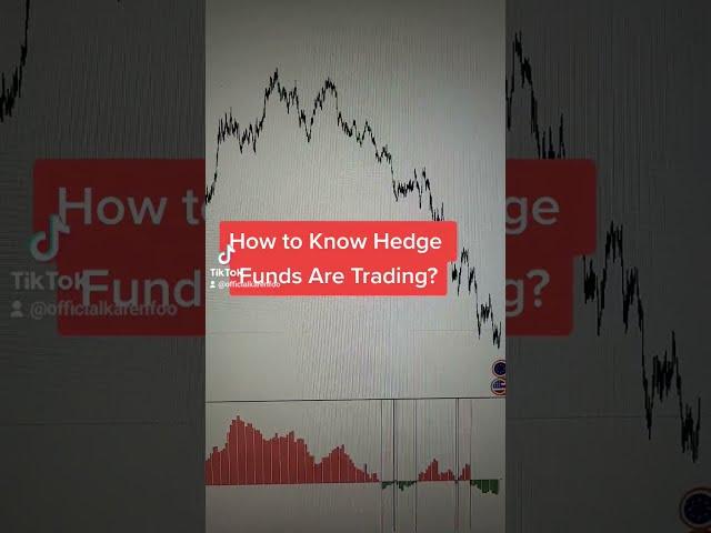 How to Find COT Report for Forex Trading